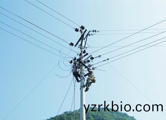 贵(gui)阳(yang)电杆