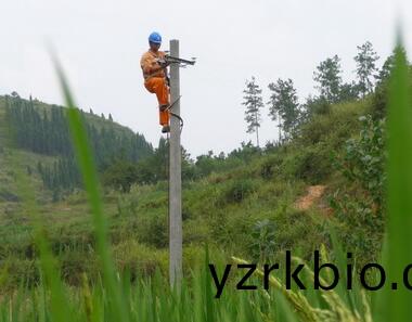 贵阳(yang)电杆